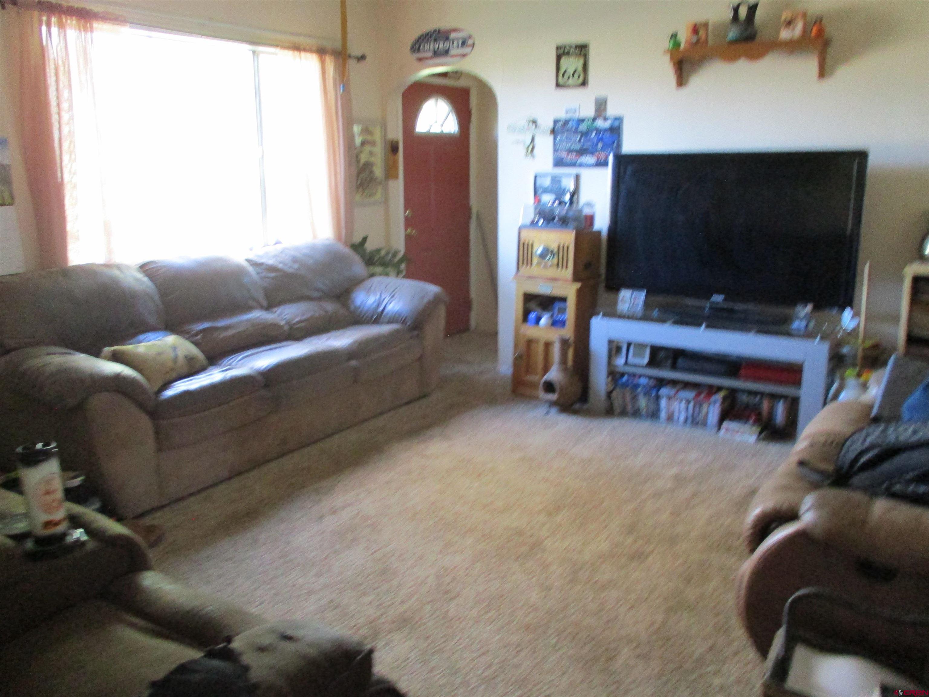 665 1725th Road Delta, CO 81416 - Photo 3 of 19 a living room with furniture and a flat screen tv