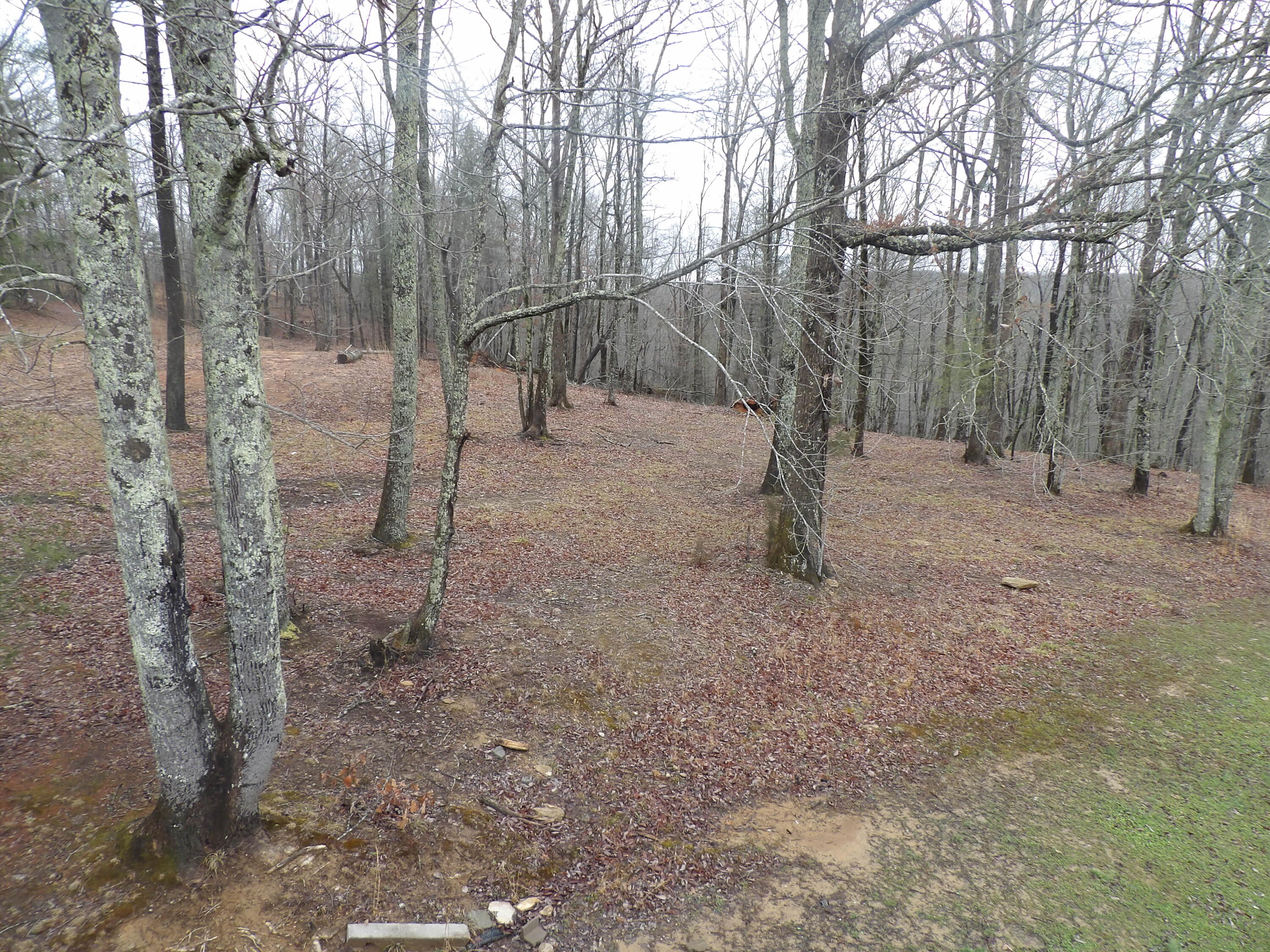 211 Ivy Road Spring City, TN 37381 - Photo 14 of 86 100_3868