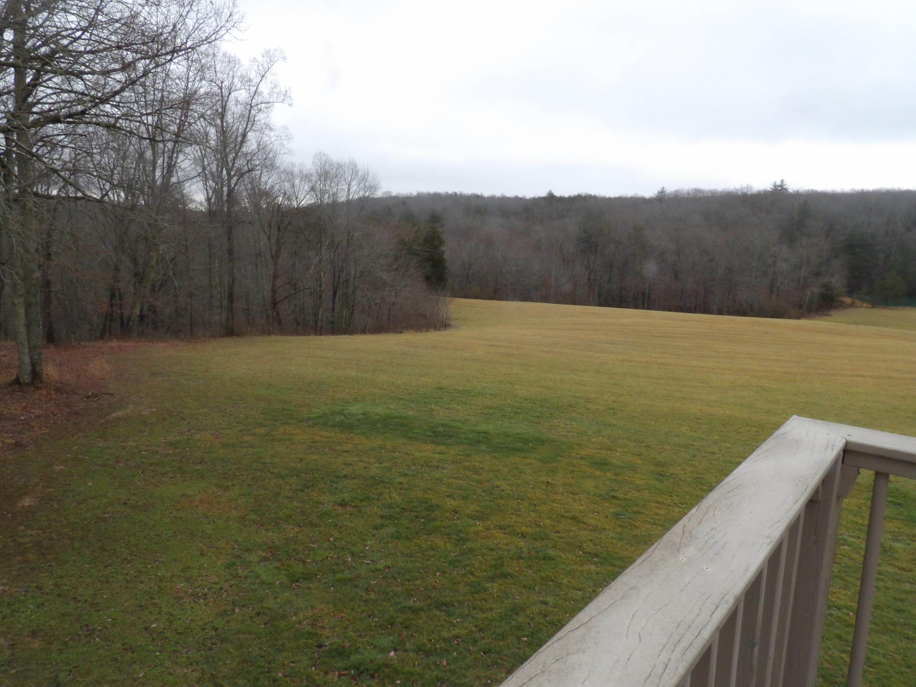 211 Ivy Road Spring City, TN 37381 - Photo 15 of 86 100_3869