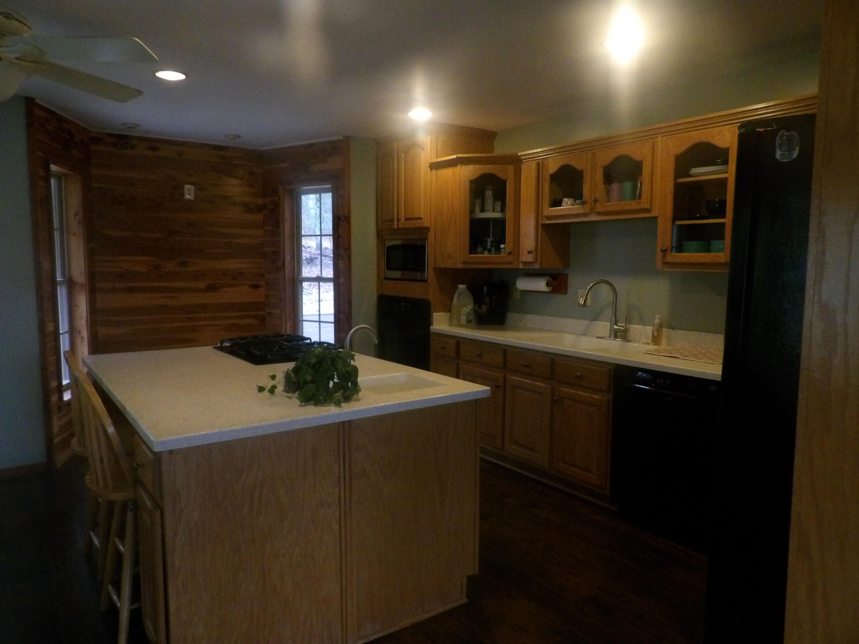 211 Ivy Road Spring City, TN 37381 - Photo 18 of 86 100_3876