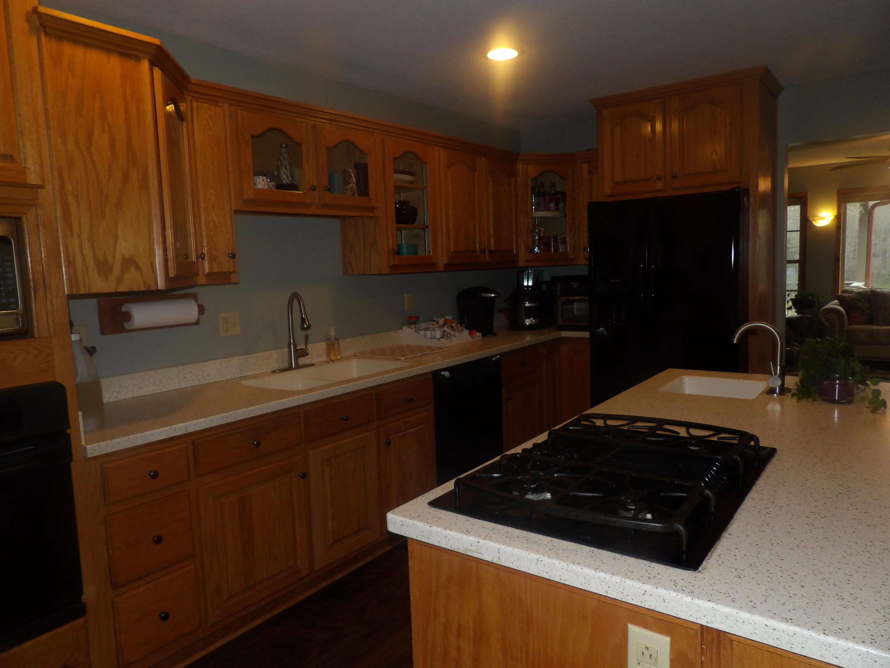 211 Ivy Road Spring City, TN 37381 - Photo 21 of 86 100_3879