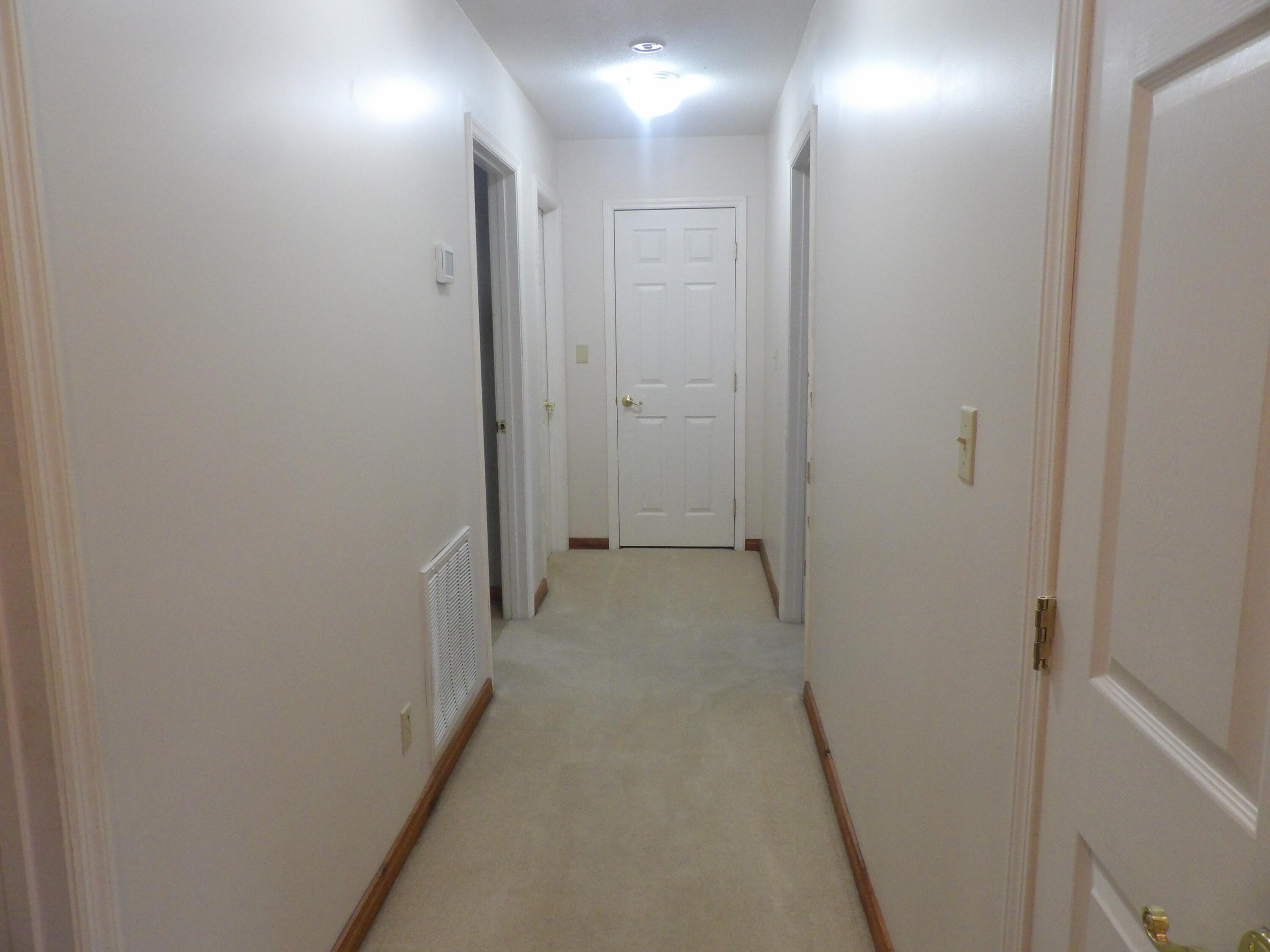 211 Ivy Road Spring City, TN 37381 - Photo 25 of 86 100_3883