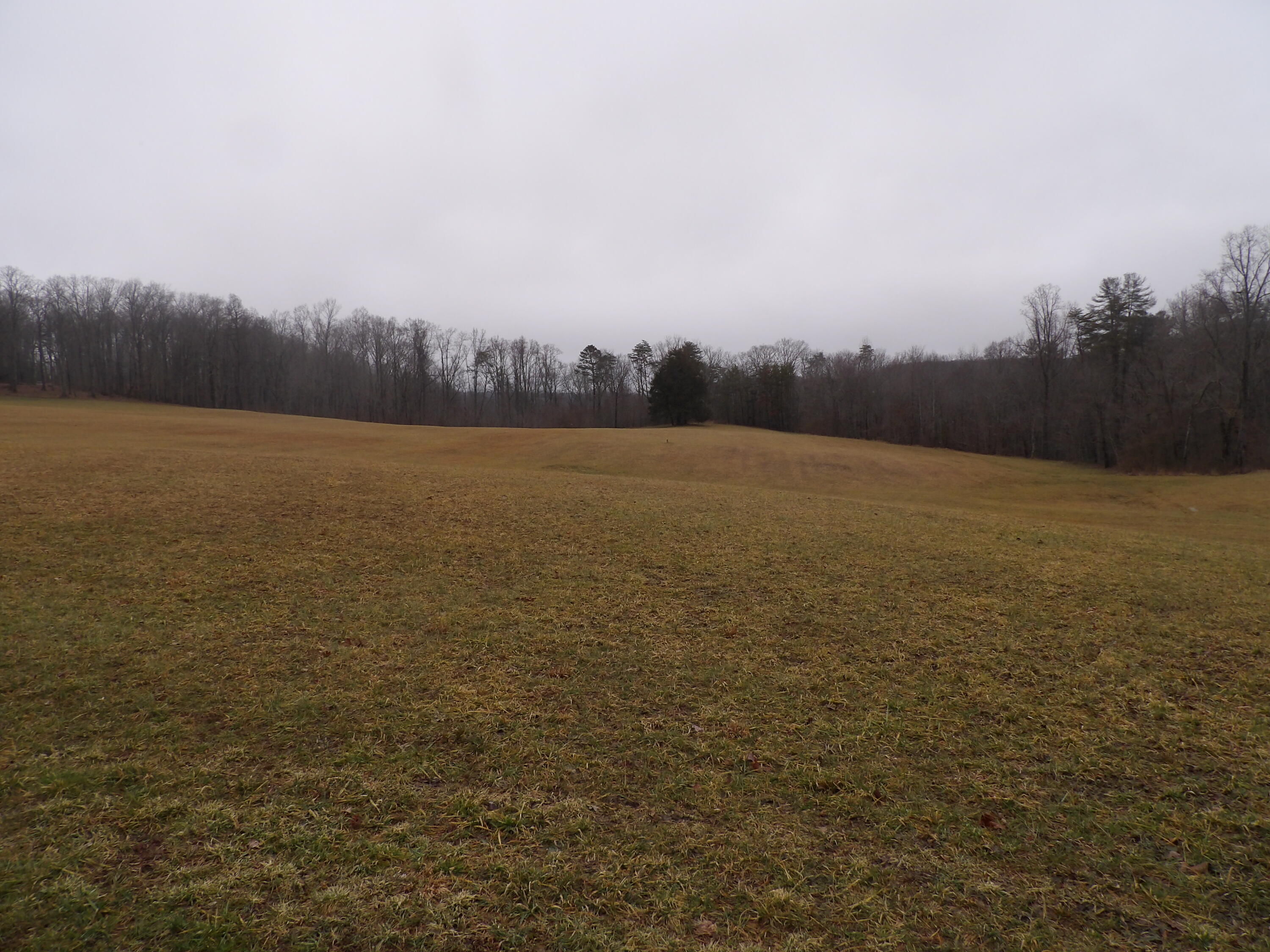 211 Ivy Road Spring City, TN 37381 - Photo 40 of 86 100_3903
