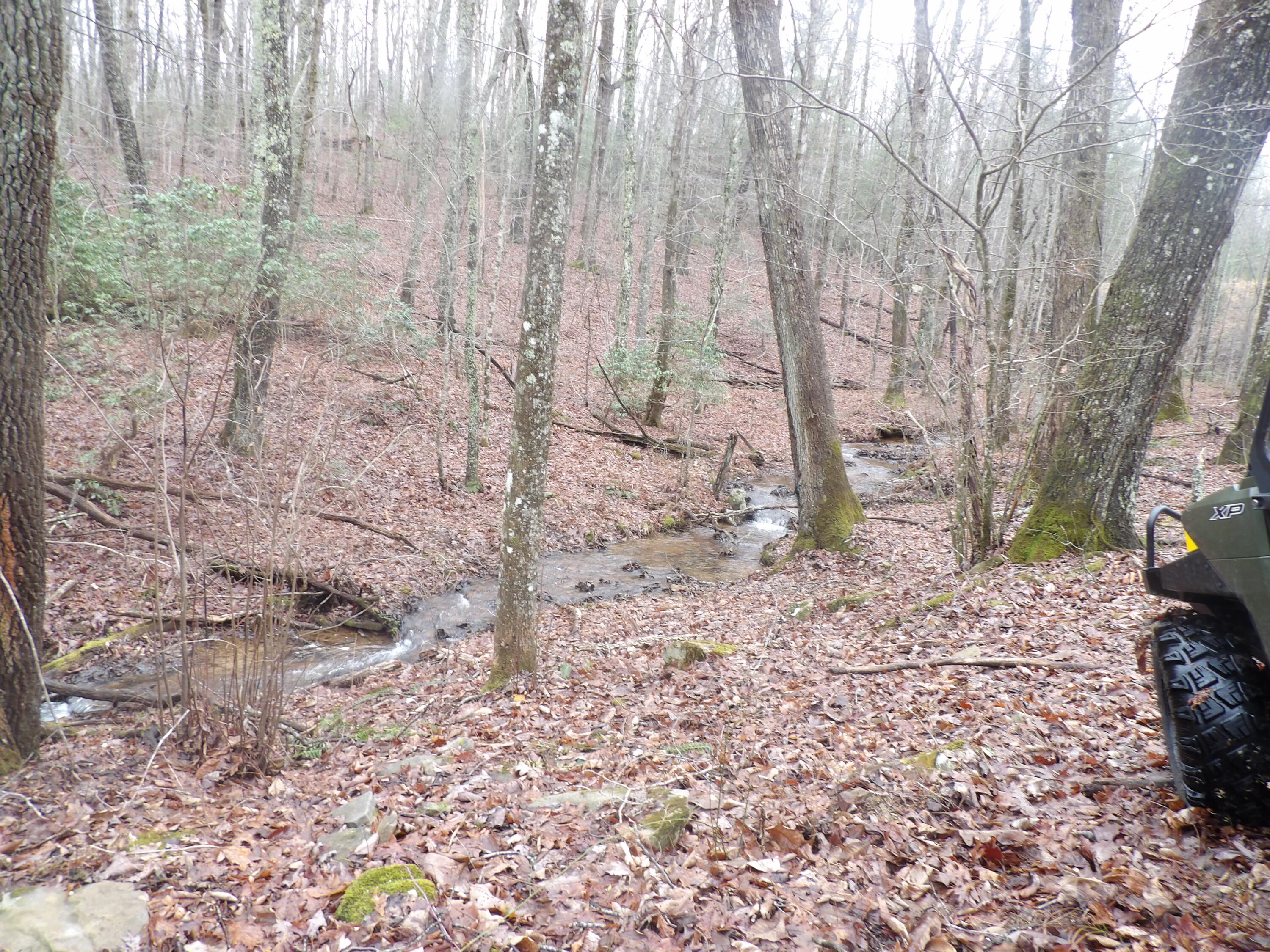 211 Ivy Road Spring City, TN 37381 - Photo 57 of 86 100_3922