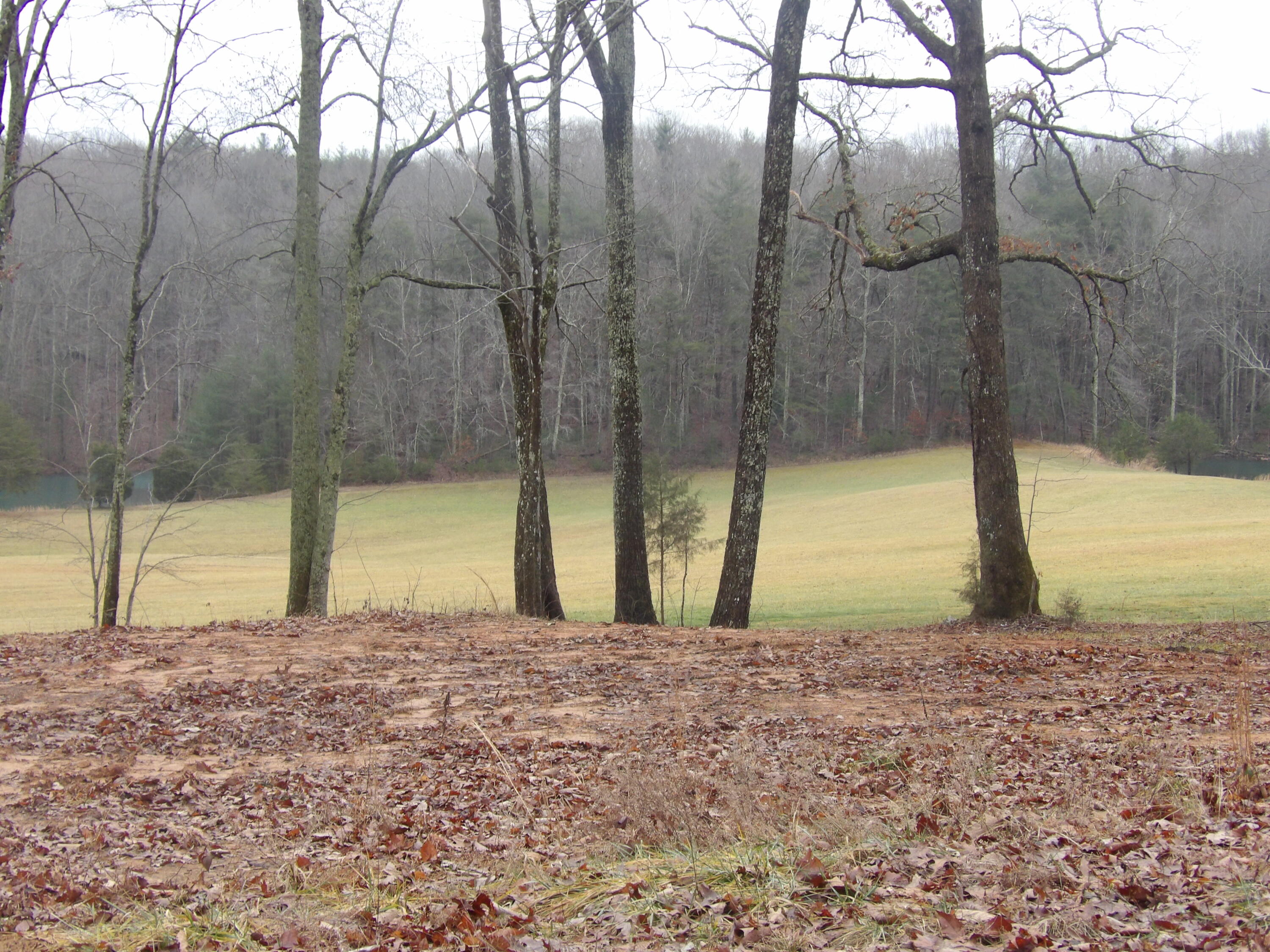 211 Ivy Road Spring City, TN 37381 - Photo 61 of 86 100_3928