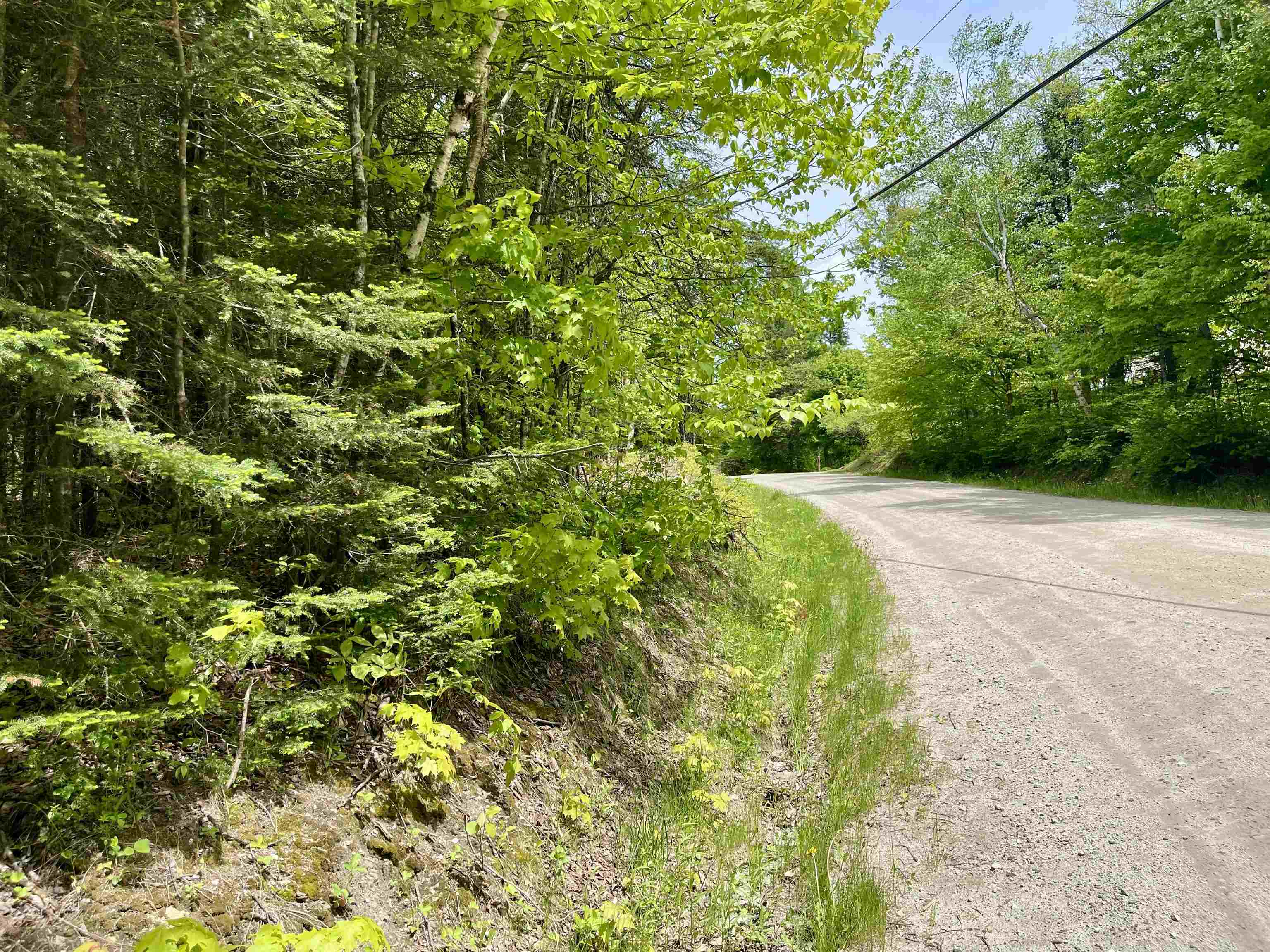 0 Marshall Newland Road East Burke, VT 05832 - Photo 3 of 29