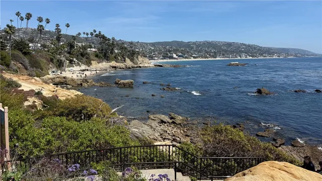 a view of a garden with plants