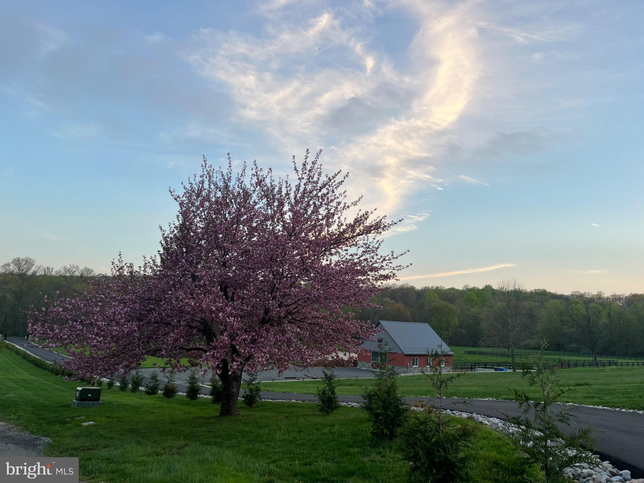 1296 Macton Road Street, MD 21154 - Photo 31 of 34 Blossoming tree in serene landscape.