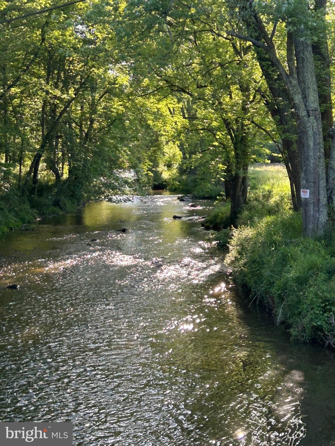 1296 Macton Road Street, MD 21154 - Photo 33 of 34 Serene stream under lush canopies