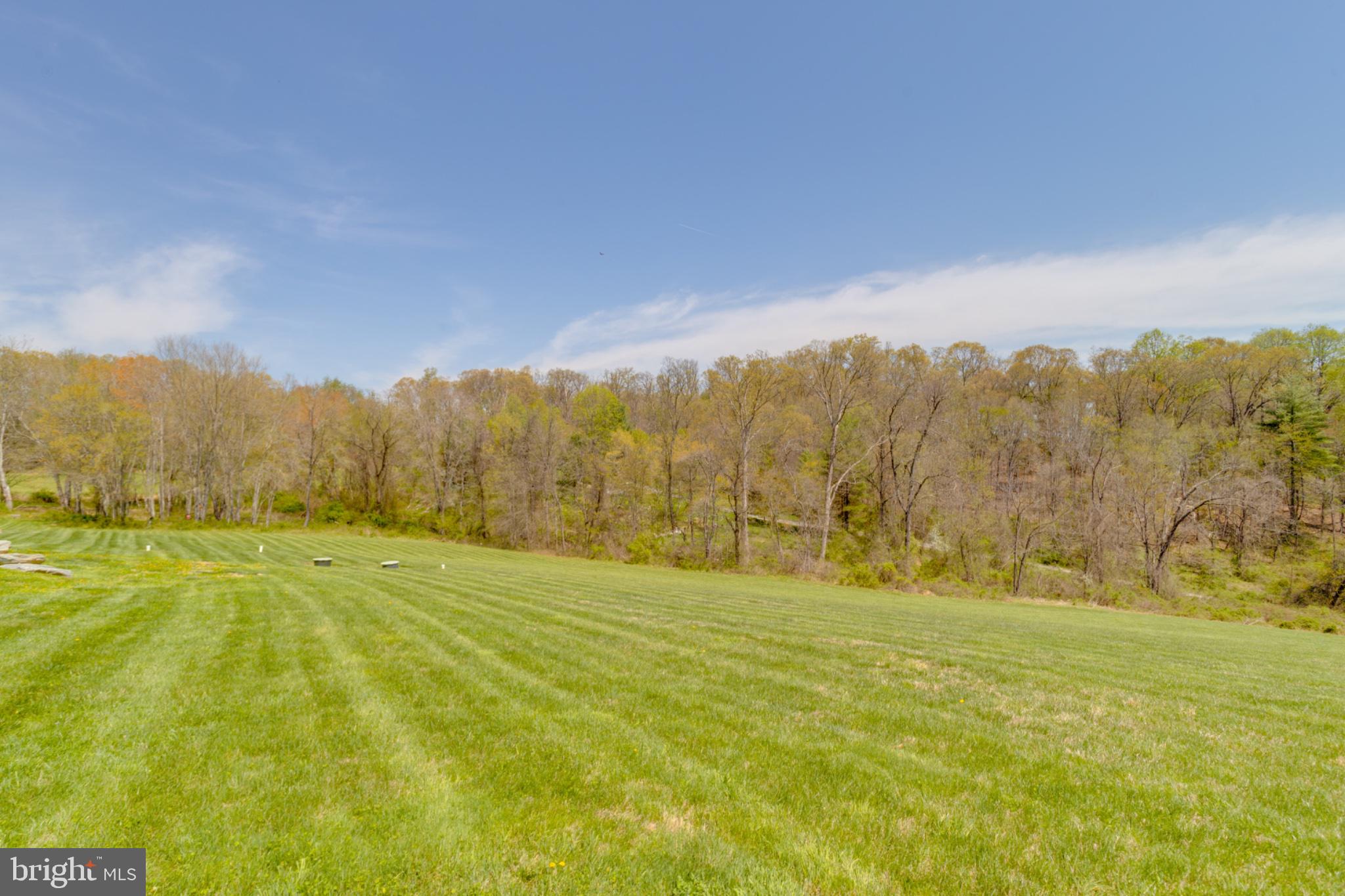 1296 Macton Road Street, MD 21154 - Photo 6 of 34 Expansive green landscape under blue skies.