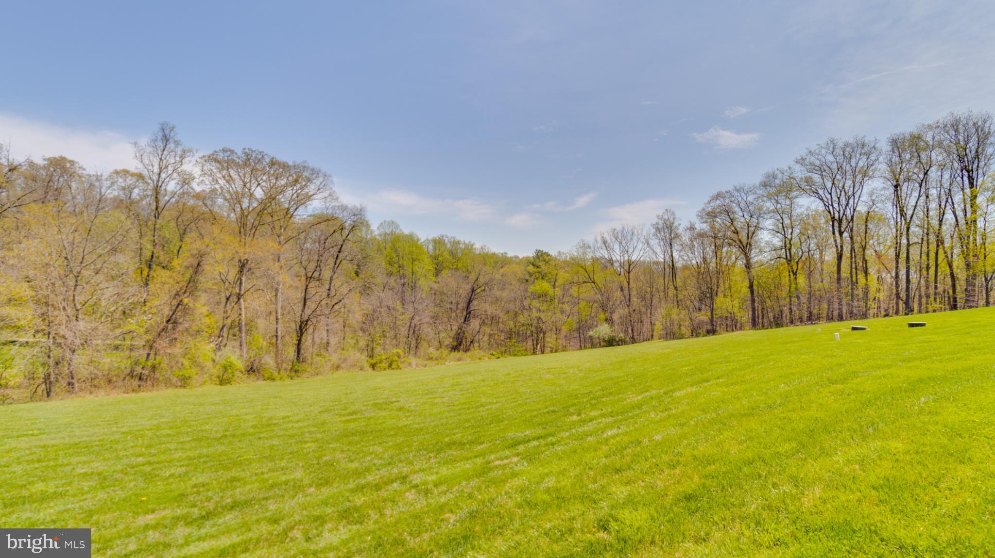 1296 Macton Road Street, MD 21154 - Photo 8 of 34 Lush green expanse meets serene woods.