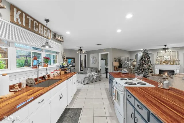 a view of city and mountain