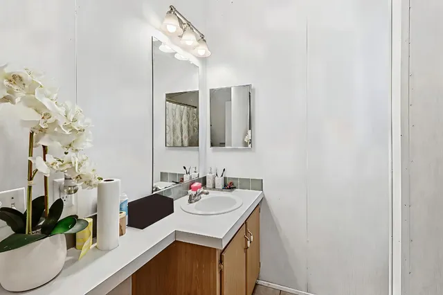 a bathroom with a sink vanity and a mirror