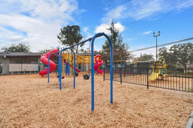 a view of tall trees with a park