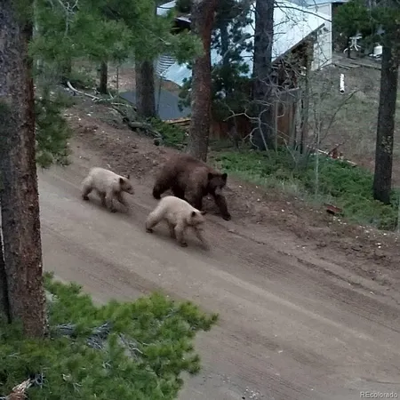 a view of city and mountain