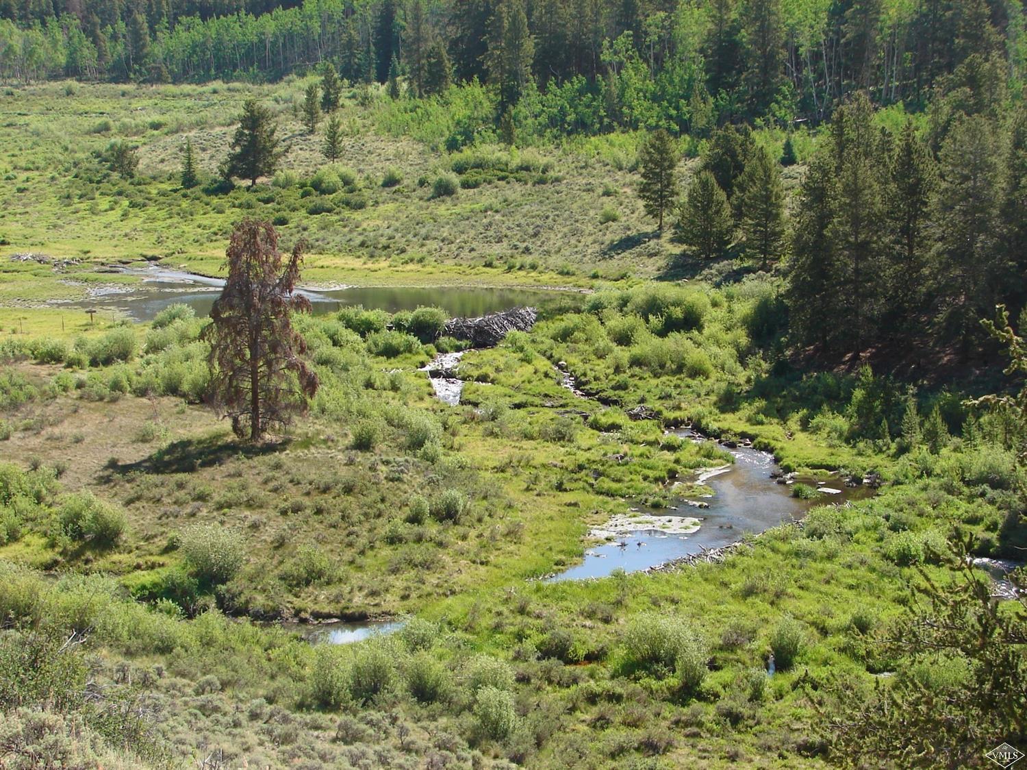 525 Elk Road Leadville, CO 80461 - Photo 8 of 10 Beaver Ponds