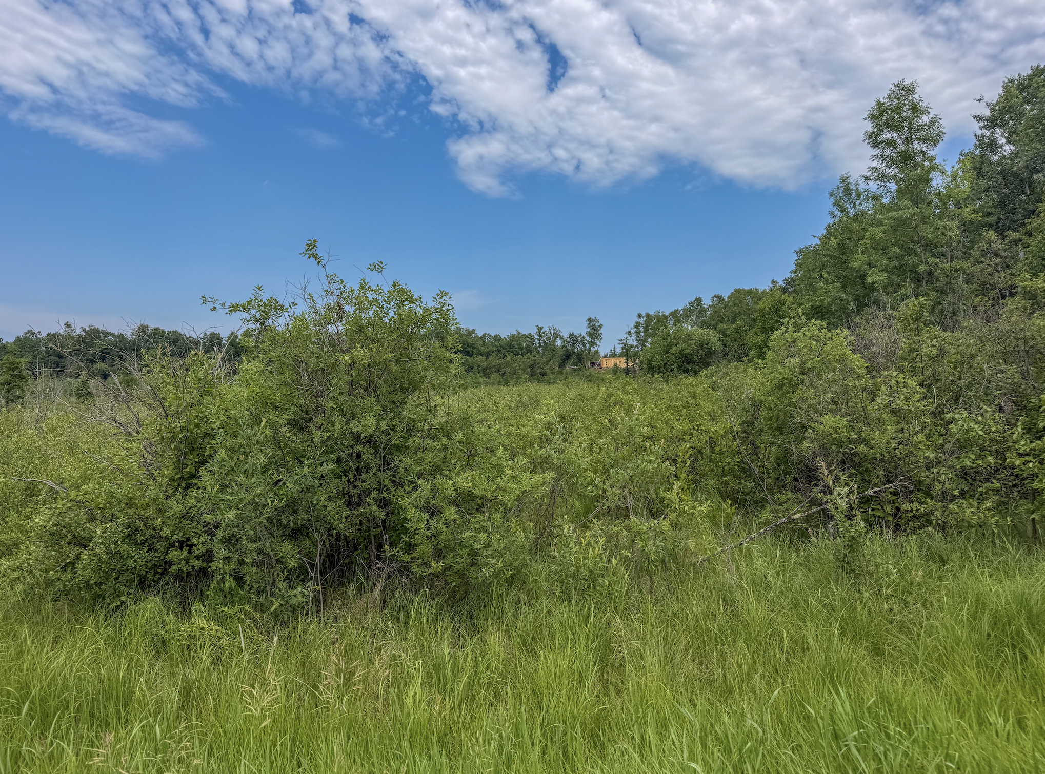 Tbd Grant Hills Road Southwest Bemidji, MN 56601 - Photo 6 of 9
