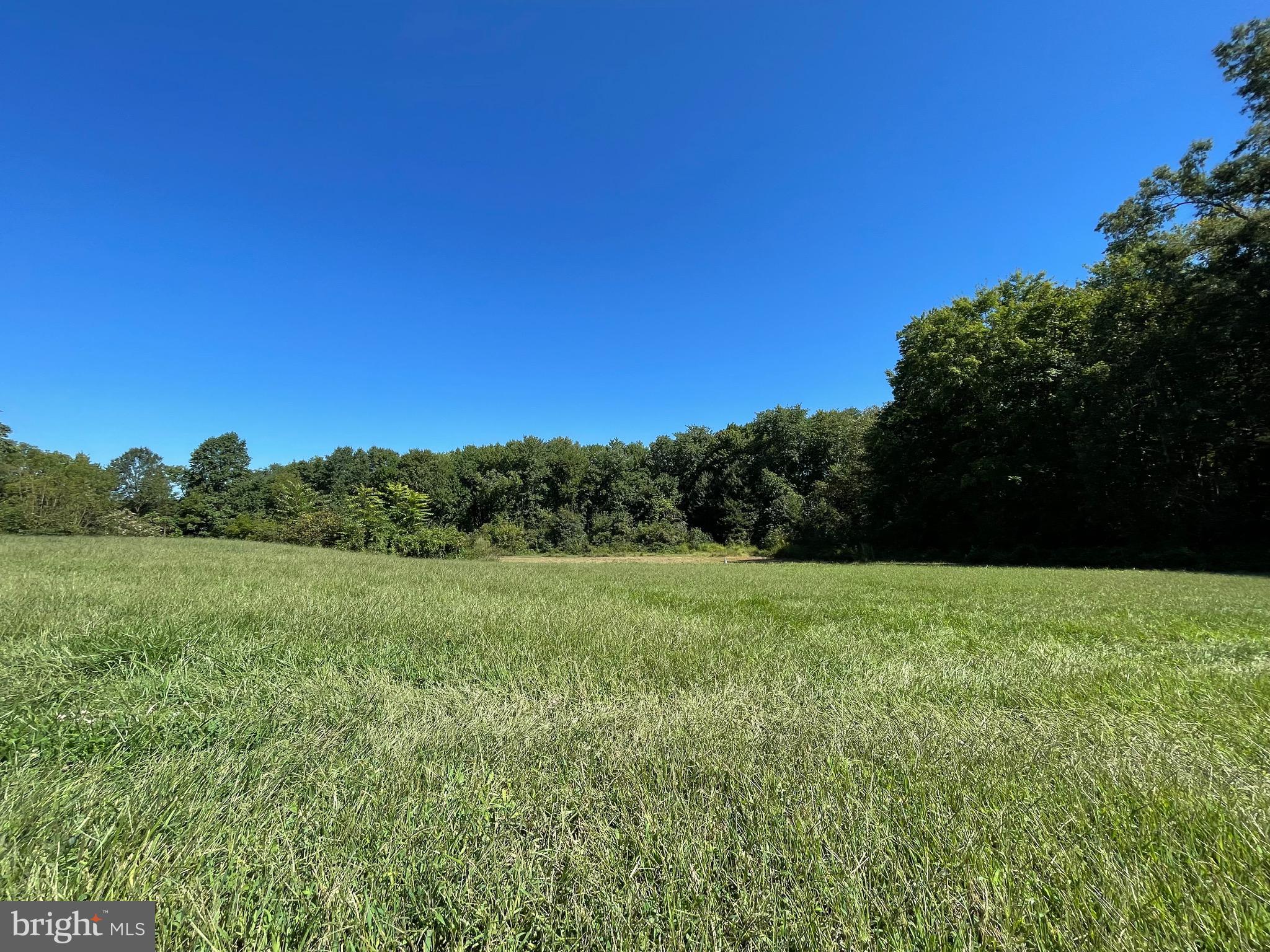 31093 Price Road Locust Grove, VA 22508 - Photo 19 of 25 Yard for days