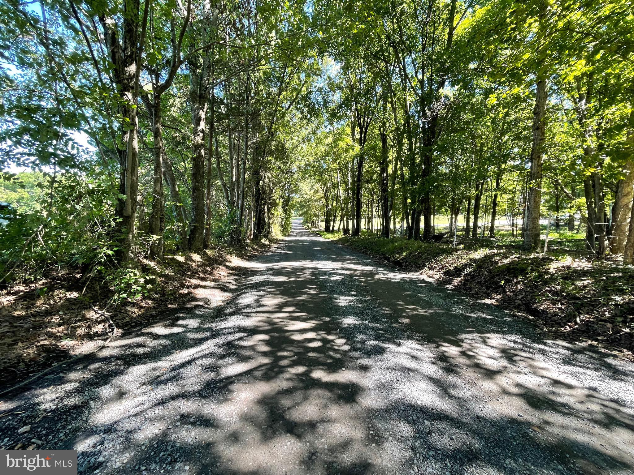 31093 Price Road Locust Grove, VA 22508 - Photo 24 of 25 Private lane, lots of privacy