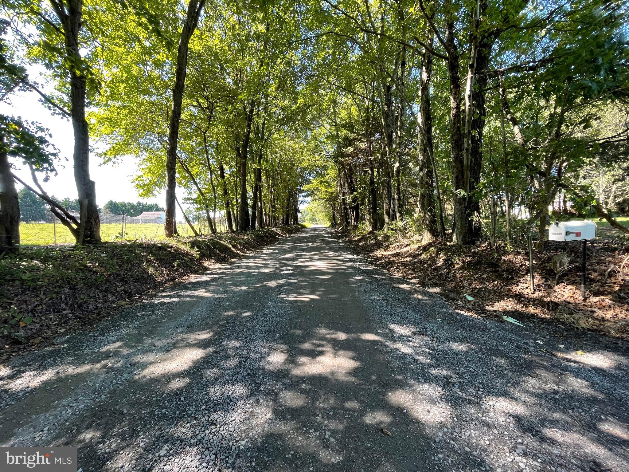 31093 Price Road Locust Grove, VA 22508 - Photo 25 of 25 Private country lane