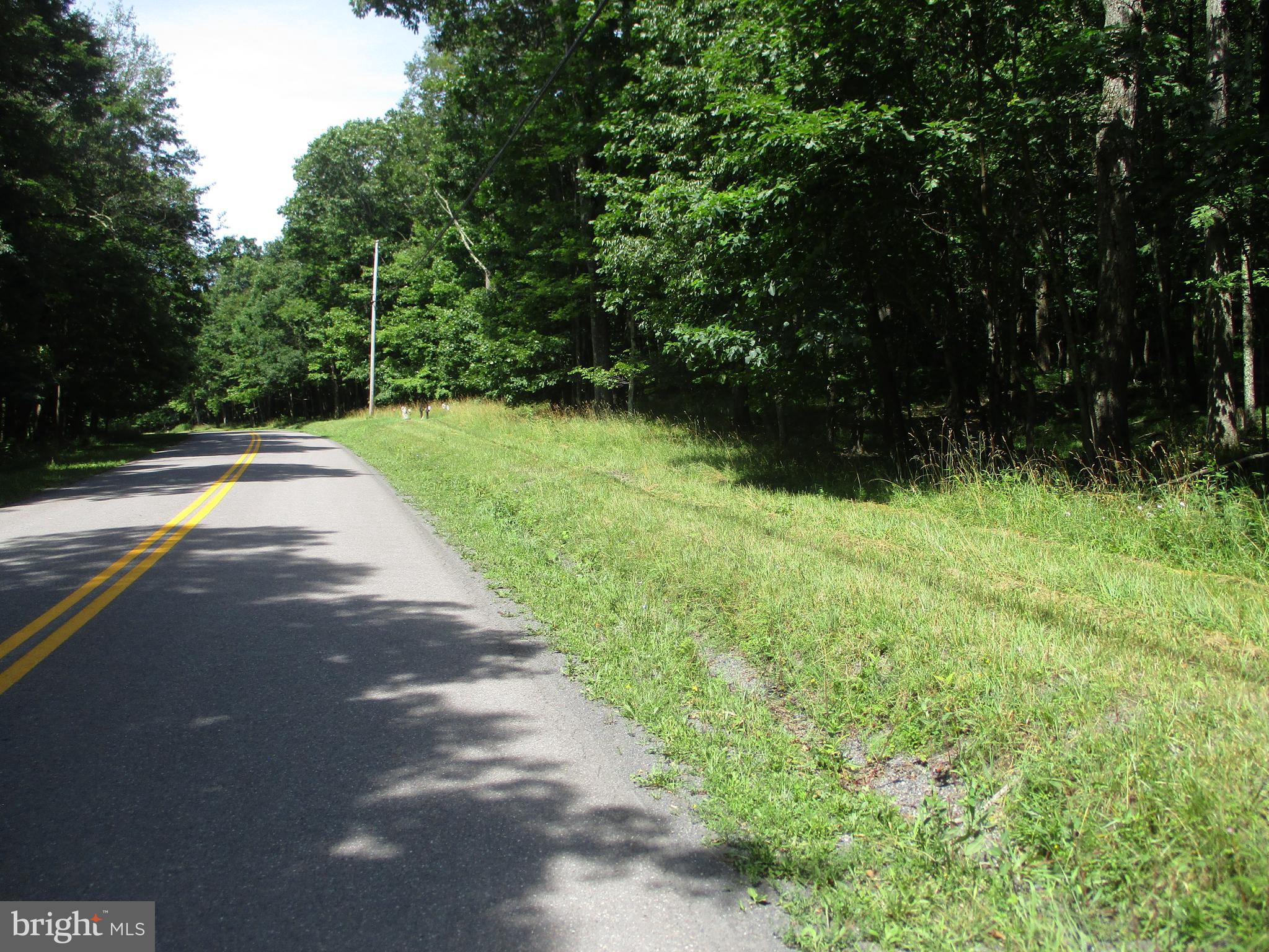 Bethlehem Road Oakland, MD 21550 - Photo 3 of 7