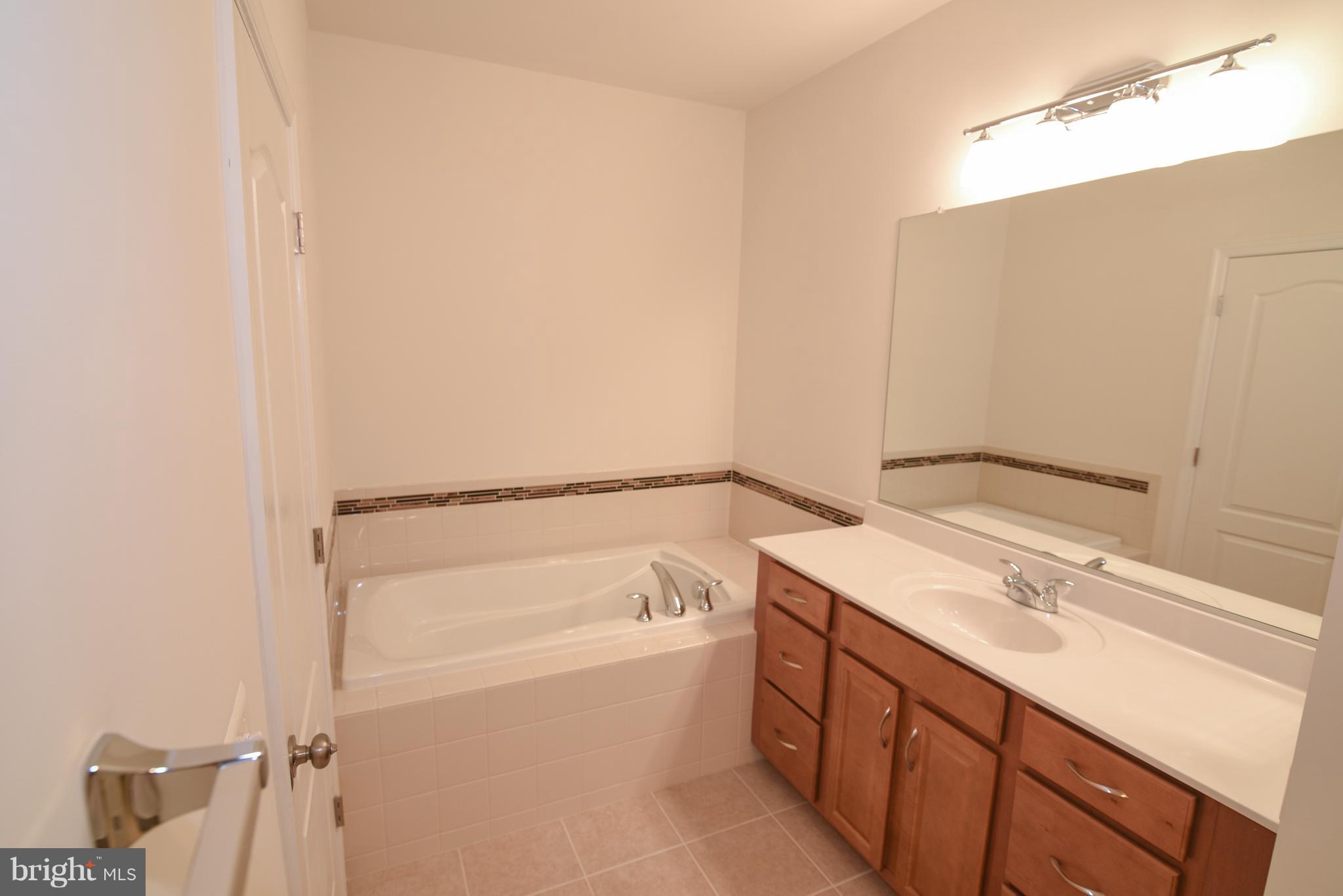 42459 Benfold Square Brambleton, VA 20148 - Photo 14 of 52 Bath (Master)