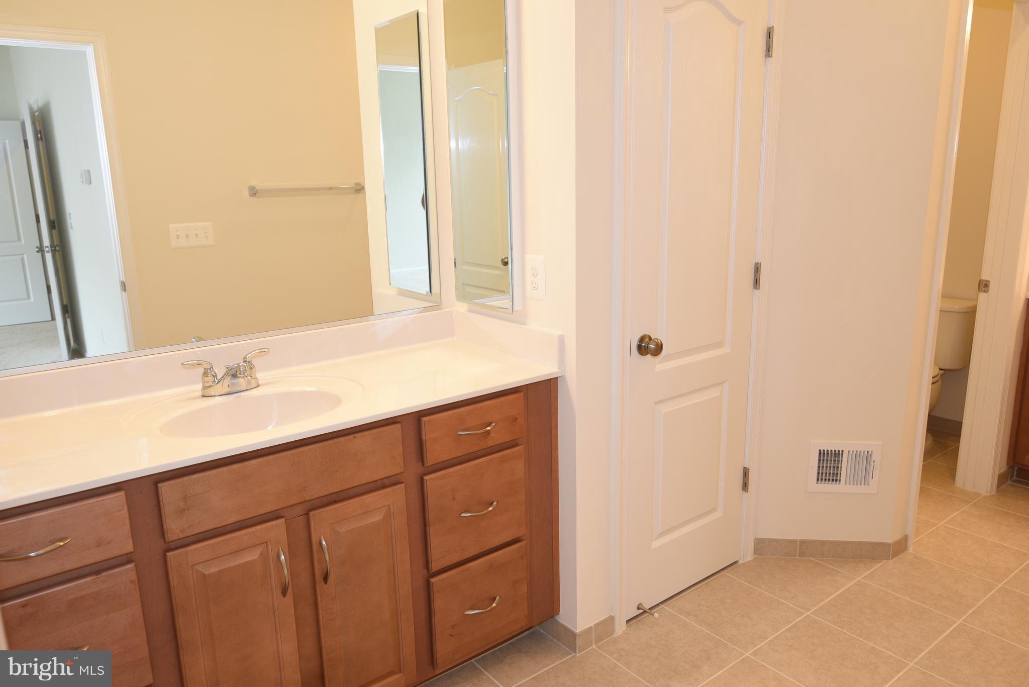 42459 Benfold Square Brambleton, VA 20148 - Photo 15 of 52 Bath (Master)