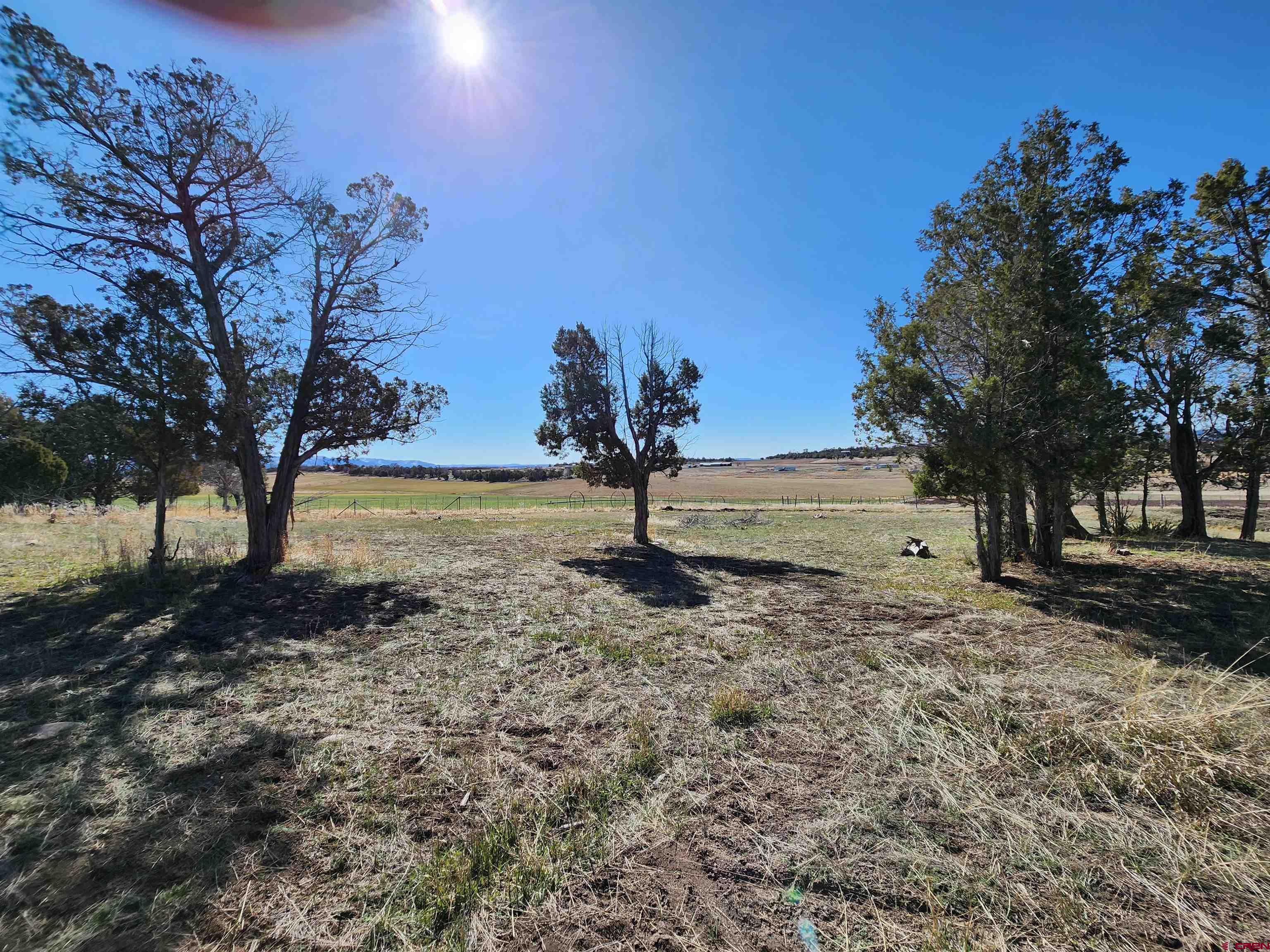 8654 Highway 172 Ignacio, CO 81137 - Photo 4 of 35 a view of backyard with tree