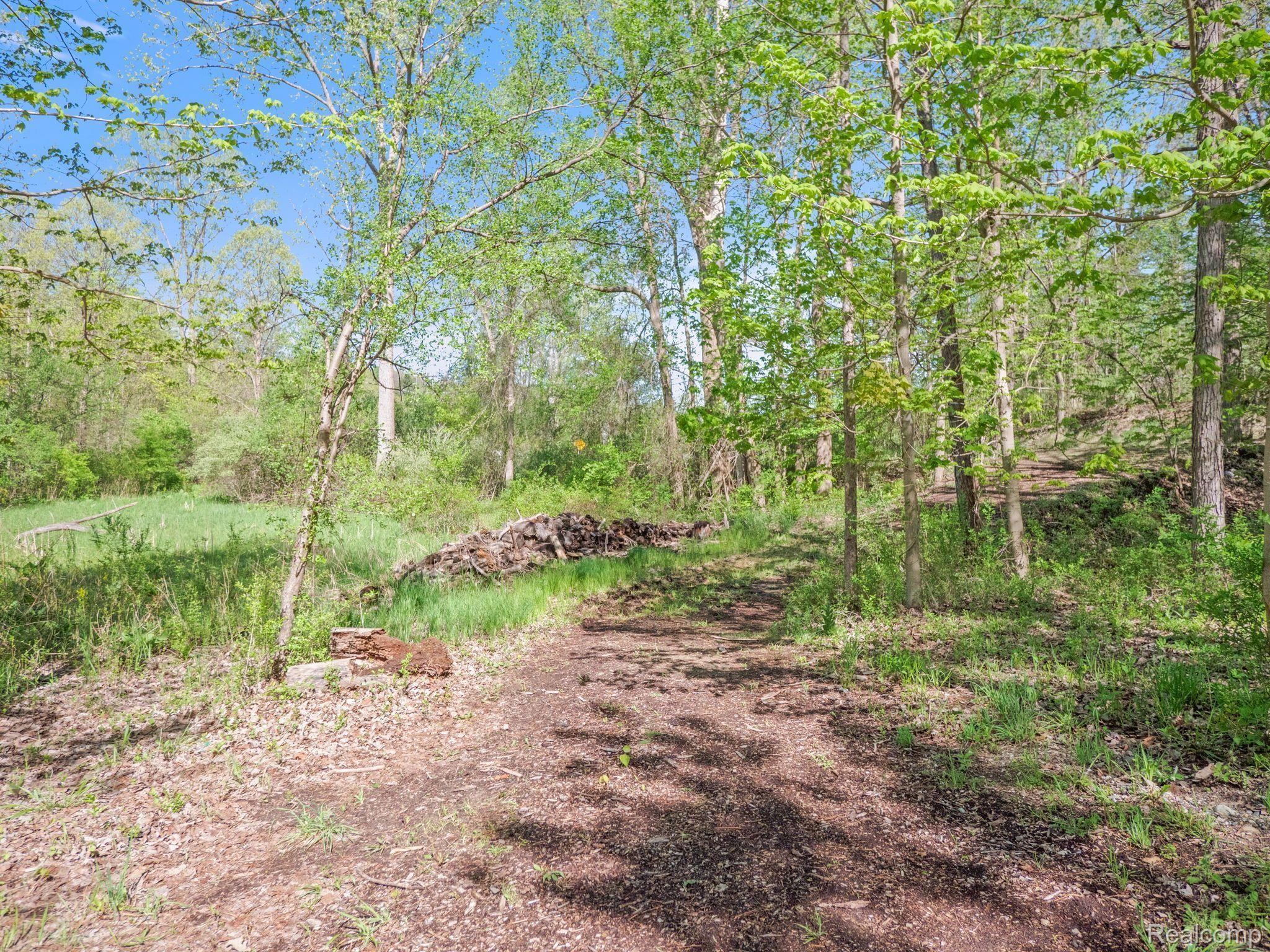 971 Dutton Road Rochester, MI 48306 - Photo 9 of 51 Gallery Image 9