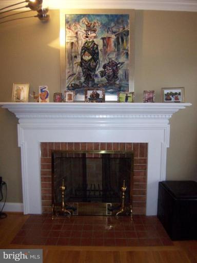 1317 South Glebe Road Arlington, VA 22204 - Photo 11 of 26 Fireplace