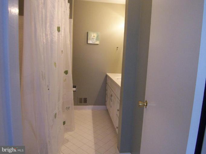 1317 South Glebe Road Arlington, VA 22204 - Photo 18 of 26 Master Bath
