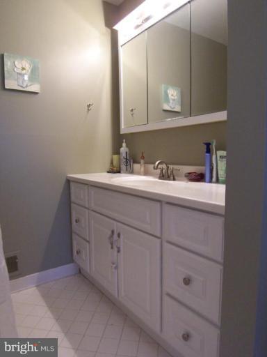 1317 South Glebe Road Arlington, VA 22204 - Photo 19 of 26 Master Bath #2