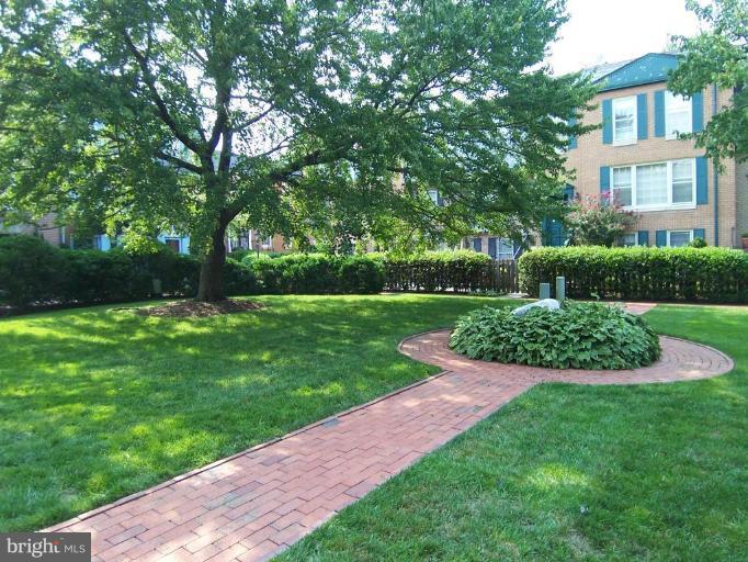 1317 South Glebe Road Arlington, VA 22204 - Photo 5 of 26 Exterior #5