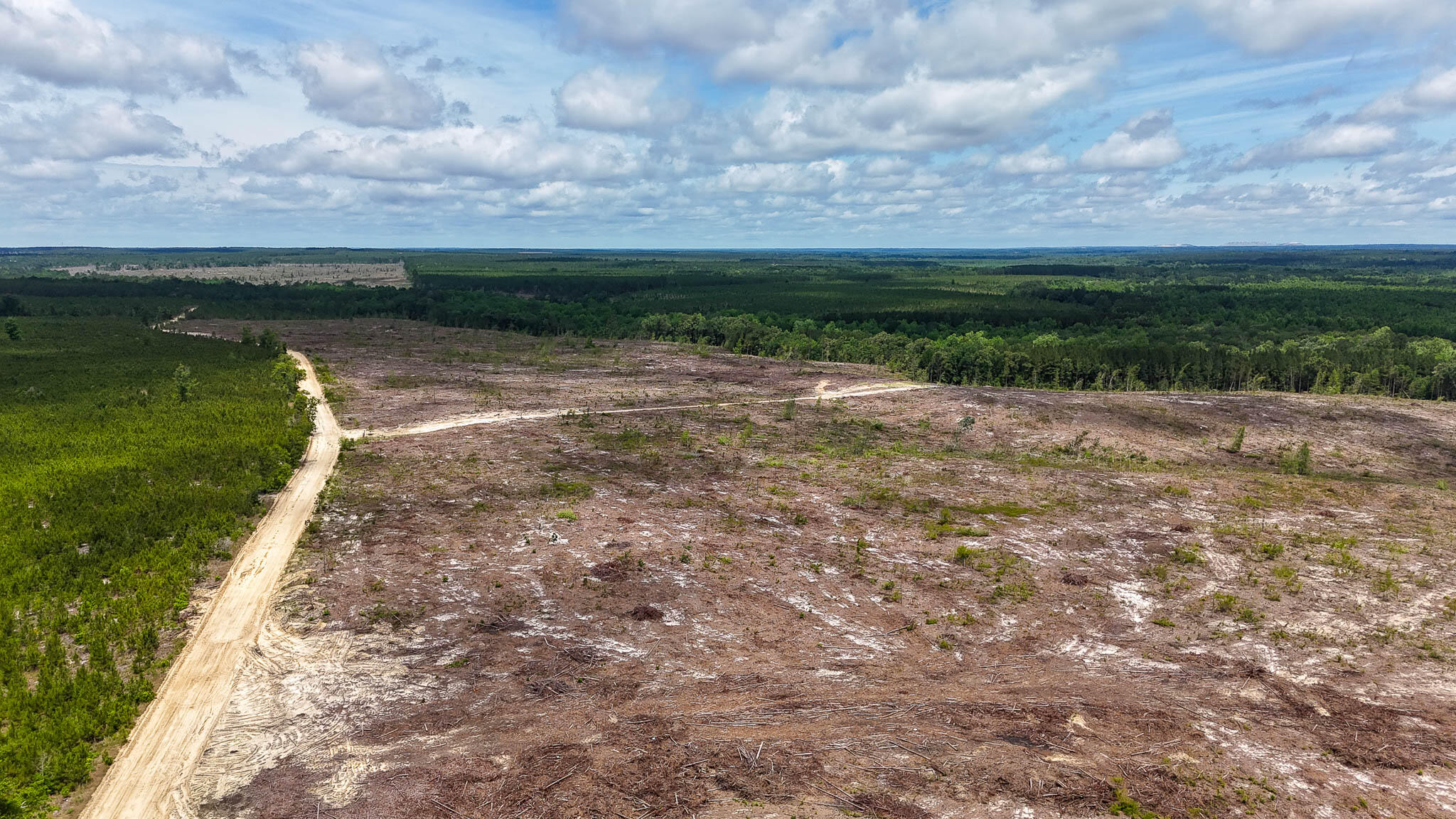 Old CC Road SC Land for Sale-01