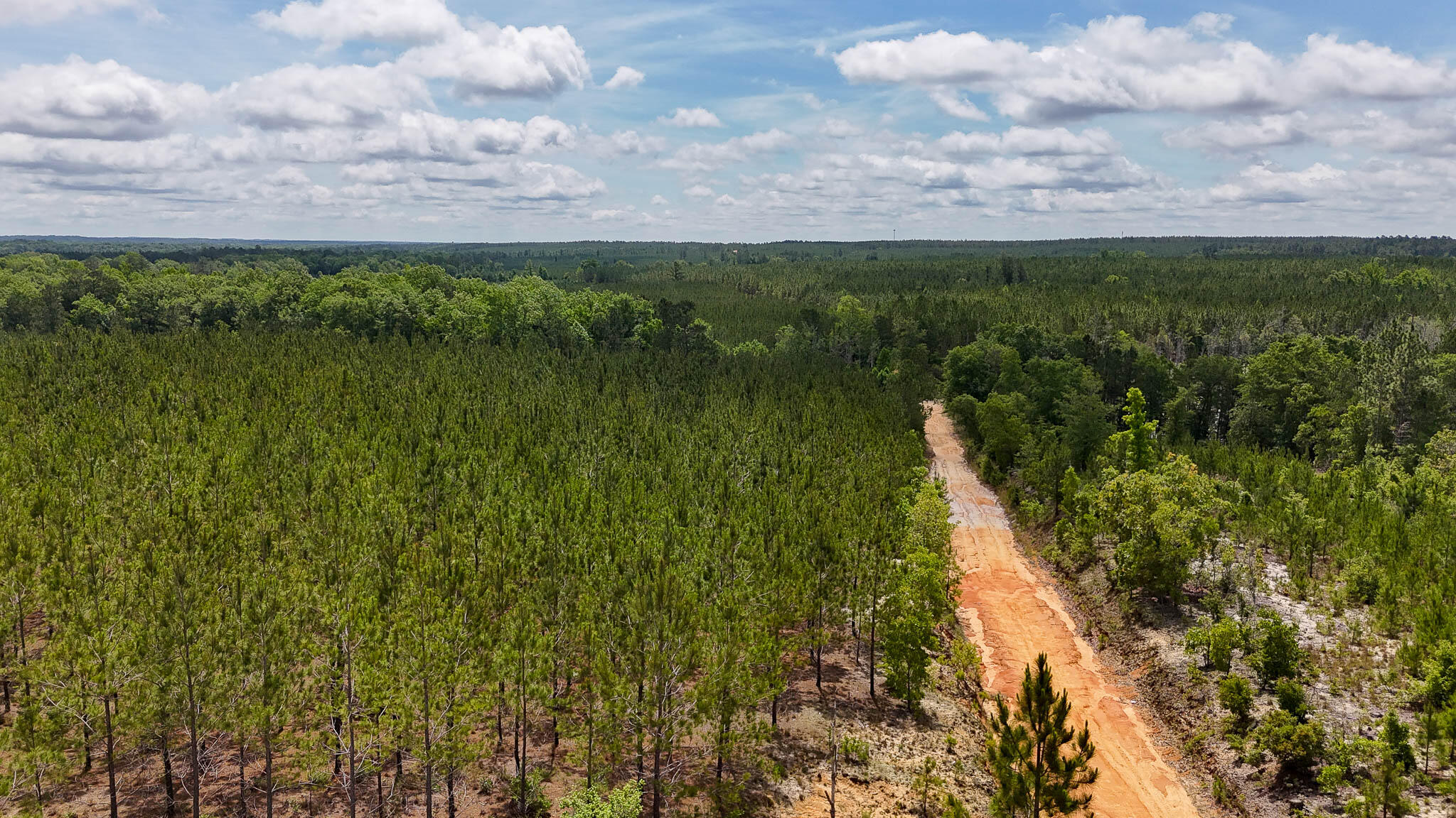 0 Old Cc Road Cassatt, SC 29032 - Photo 11 of 11 Old CC Road SC Land for Sale-11