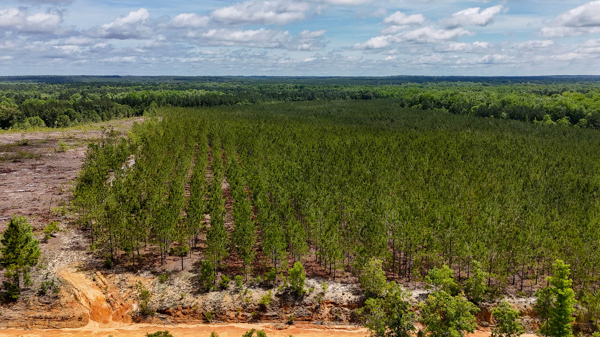 0 Old Cc Road Cassatt, SC 29032 - Photo 2 of 11 Old CC Road SC Land for Sale-02
