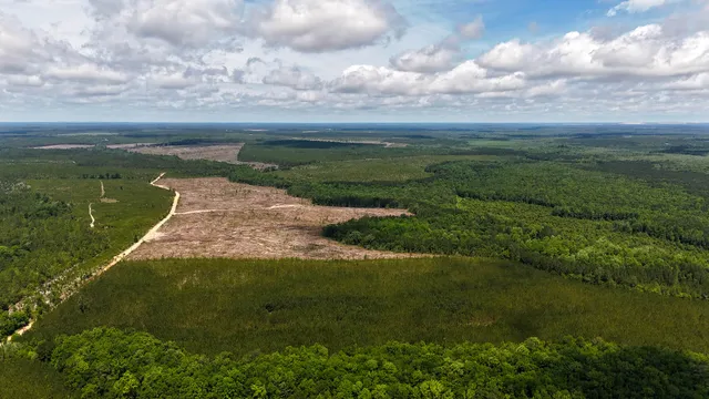 $694,260 | 0 Old Cc Road, Cassatt, SC 29032