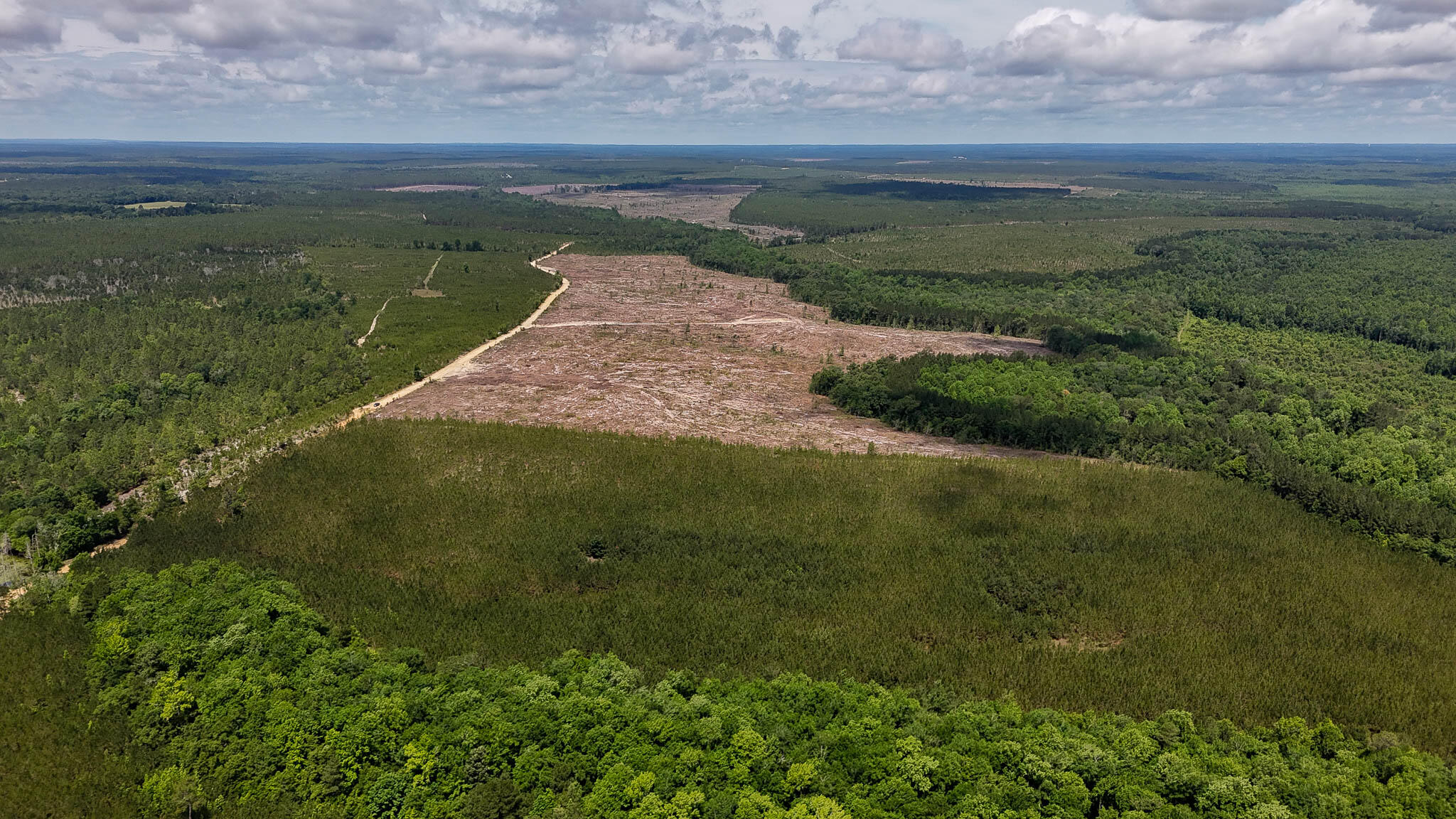 0 Old Cc Road Cassatt, SC 29032 - Photo 5 of 11 Old CC Road SC Land for Sale-05