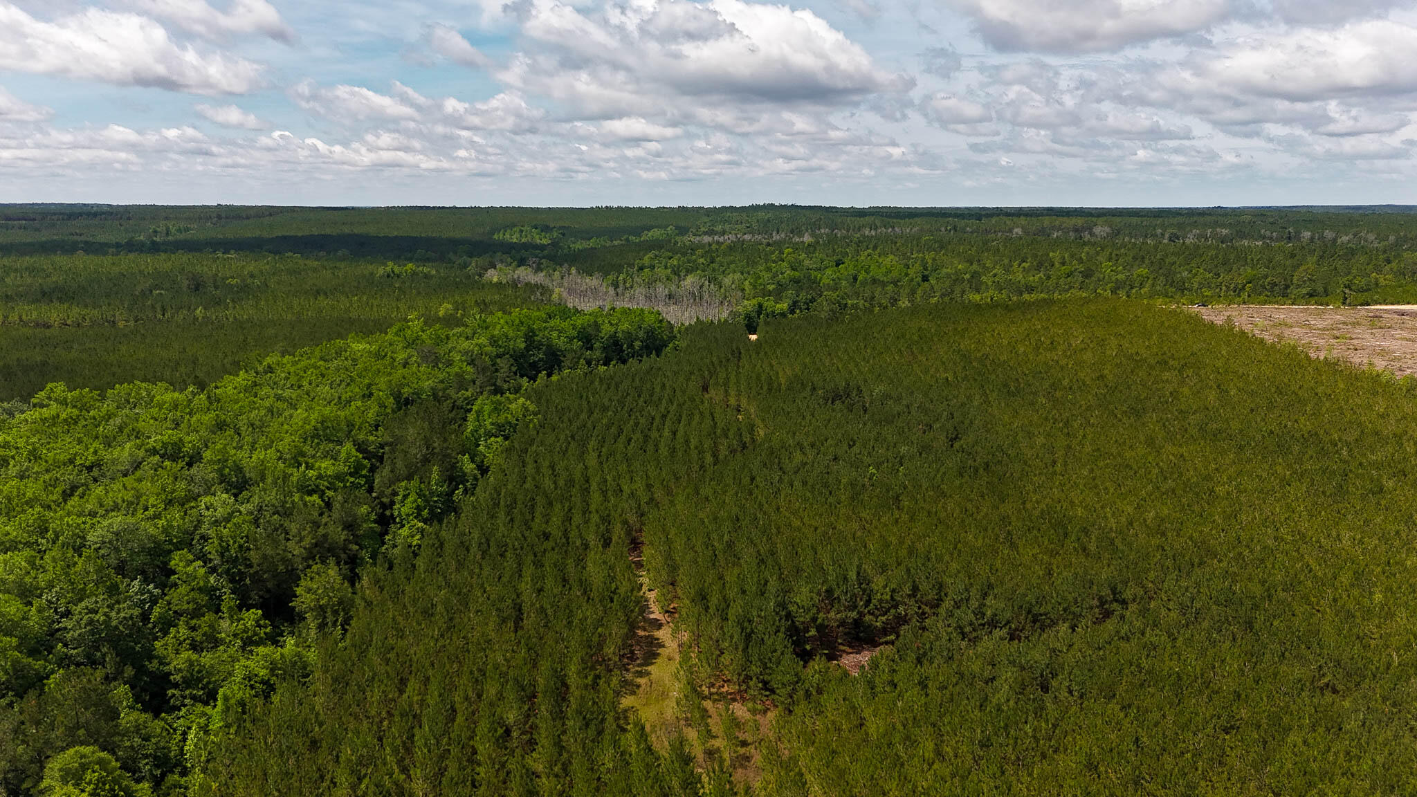 0 Old Cc Road Cassatt, SC 29032 - Photo 6 of 11 Old CC Road SC Land for Sale-06
