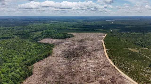 $694,260 | 0 Old Cc Road, Cassatt, SC 29032