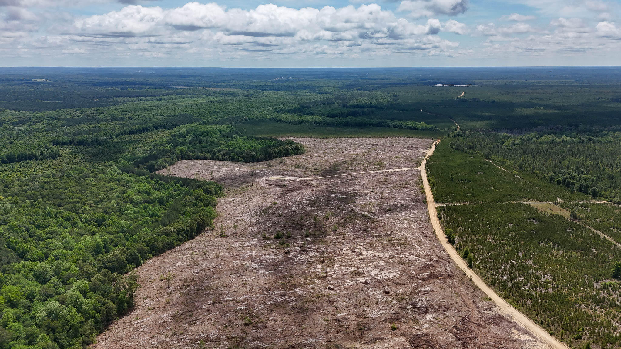0 Old Cc Road Cassatt, SC 29032 - Photo 8 of 11 Old CC Road SC Land for Sale-08