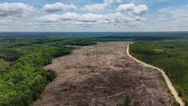 $694,260 | 0 Old Cc Road, Cassatt, SC 29032