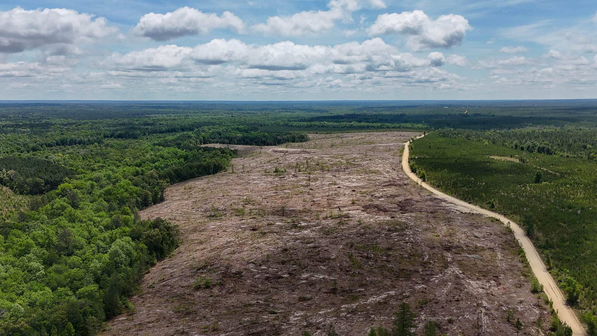 0 Old Cc Road Cassatt, SC 29032 - Photo 9 of 11 Old CC Road SC Land for Sale-09