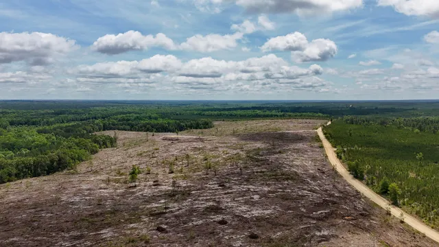 $694,260 | 0 Old Cc Road, Cassatt, SC 29032