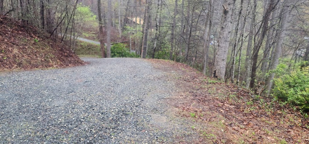 57 Rustys Ridge Bryson City, NC 28713 - Photo 45 of 74