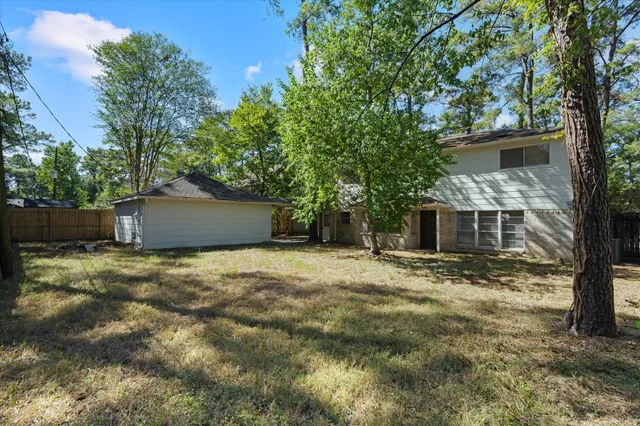 a tall tree in middle of the garden