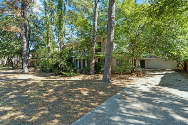 a view of a backyard with a trees