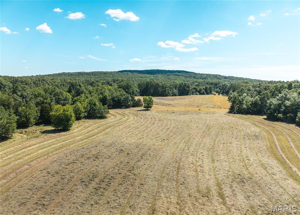 4 Buck Mountain Road Ironton, MO 63650 - Photo 16 of 27