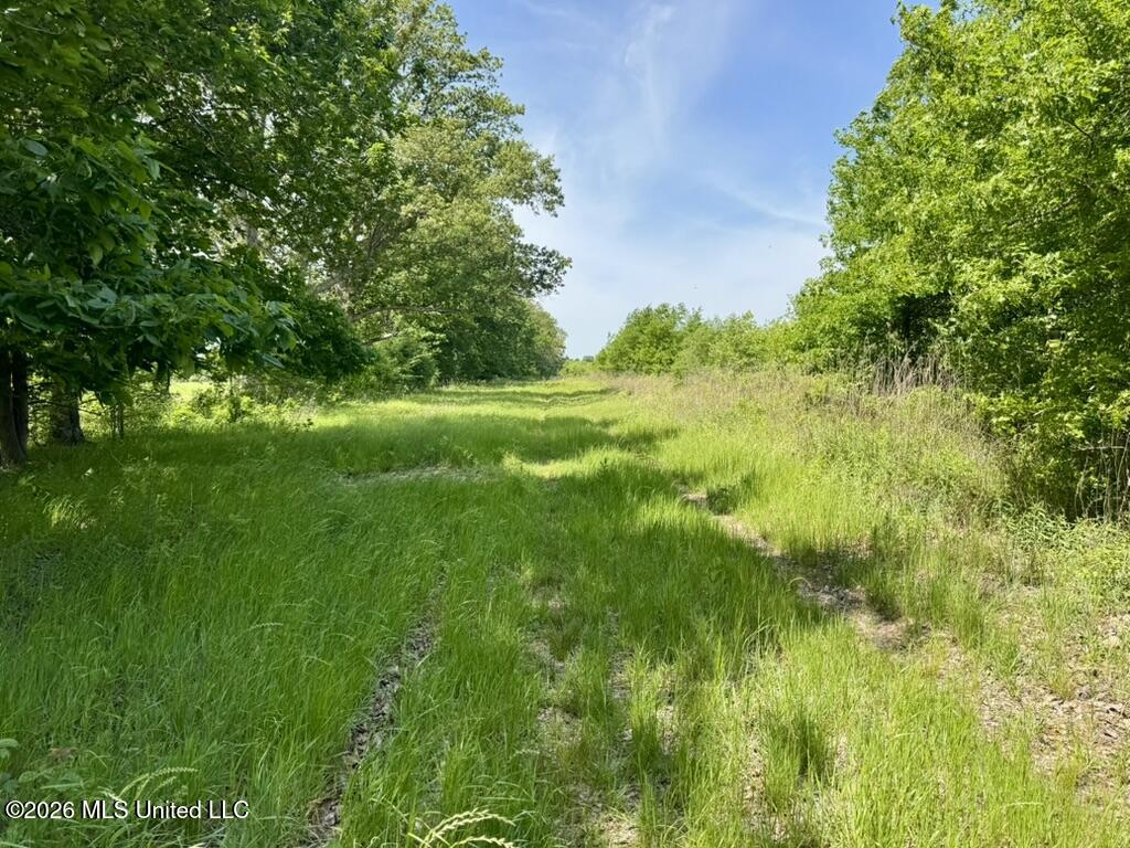 1 Highway 3 Lambert, MS 38643 - Photo 24 of 102 D3BF0A74-6490-4DAA-AC43-DA30AFFE176A_1_1