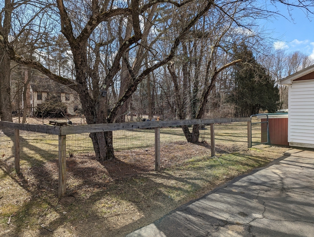 125 Plumtree Road Sunderland, MA 01375 - Photo 34 of 41 a view of a yard with trees